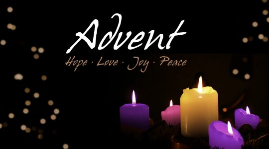 Scripture Commentary: Second Sunday of Advent