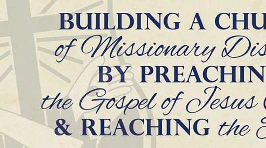 NEW Parish Mission & Action Group