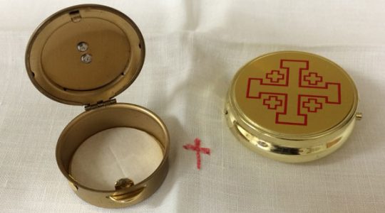 Visits to the Sick by Eucharistic Ministers