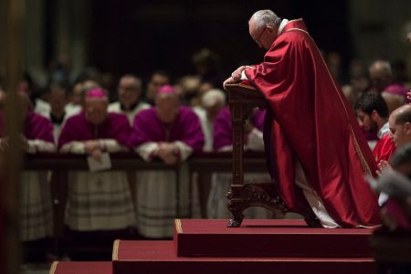 Letter of Pope Francis to every Catholic