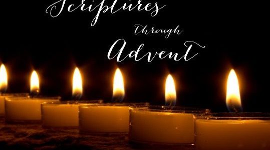 Preparing throughout Advent for Christmas