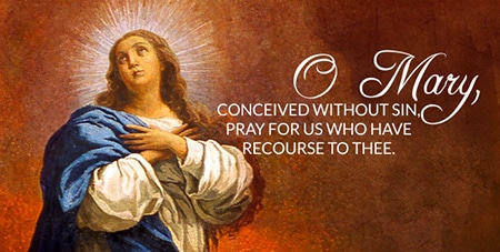 Solemnity of the Immaculate Conception