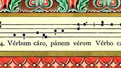 Use of Latin in the Liturgy