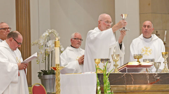 Live Masses in Diocese of Motherwell