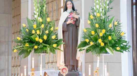 Relics Tour of St Therese of Lisieux Documentary