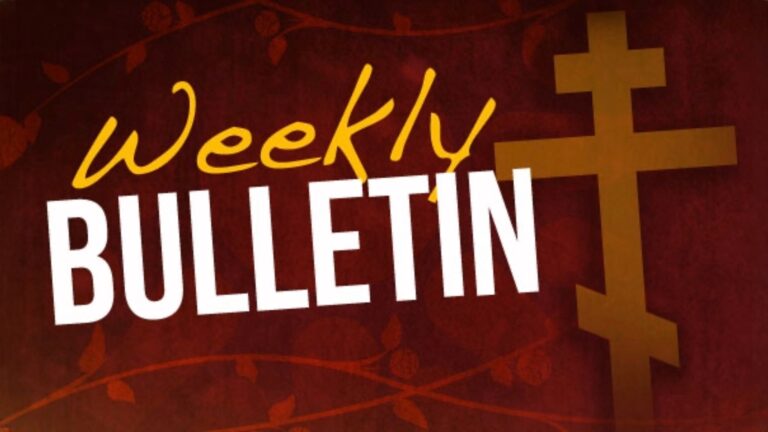 Parish Bulletin 24th August 2025